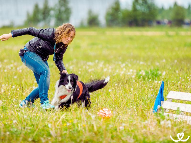 Zkousky-rally-obedience (1)